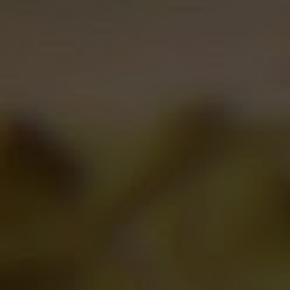 Meet your Posher, Bucket - Picture 1 of 1